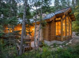 Treehouse Lodge